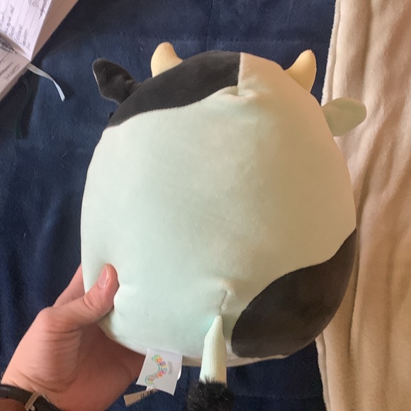 Cillian the cow squishmallow NWT - Picture 2 of 4